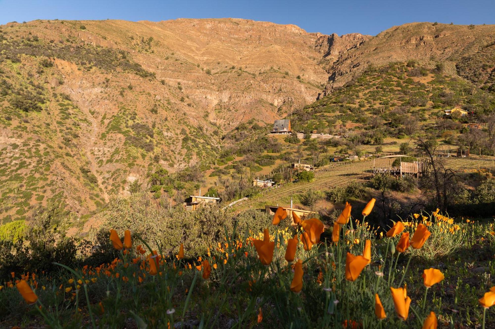 Origen Del Maipo Lodge San José de Maipo エクステリア 写真