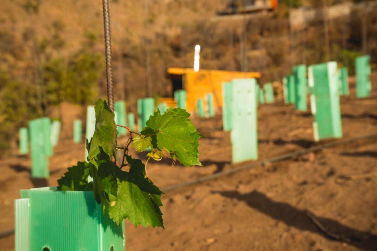 Origen Del Maipo Lodge San José de Maipo エクステリア 写真