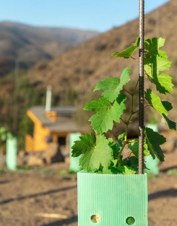 Origen Del Maipo Lodge San José de Maipo エクステリア 写真